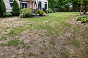 ,_1 Before
