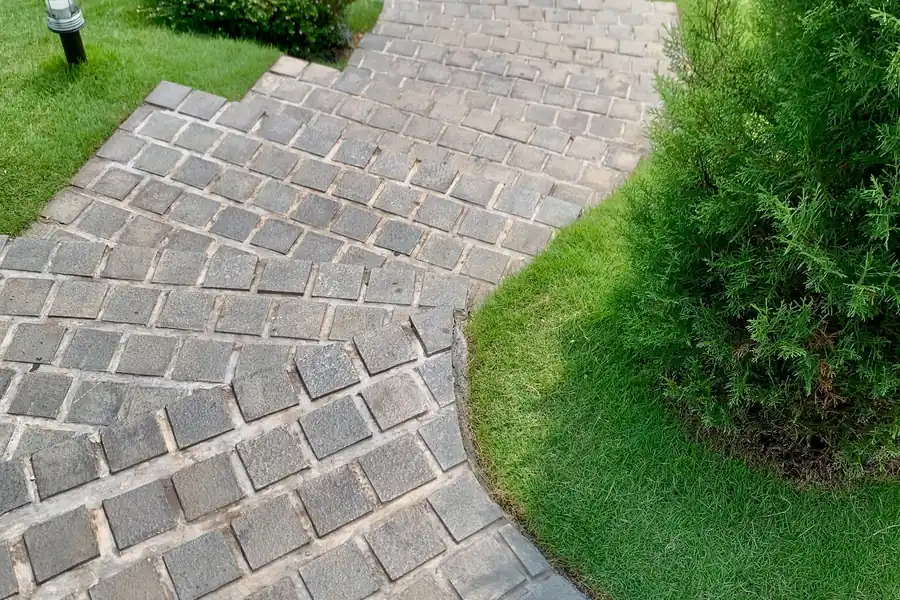 A finished brick footpath winding through green foliage