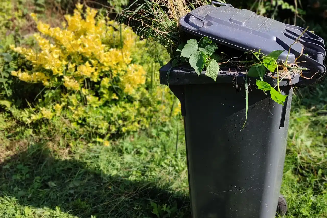 Garden waste bin filled during a yard clearance