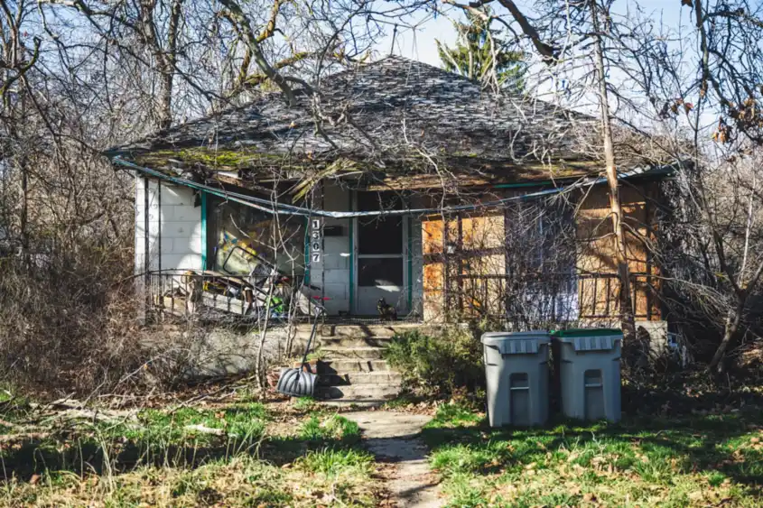 Property surrounded by overgrown growth