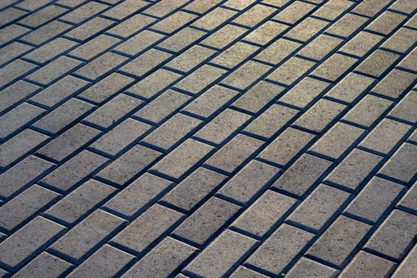 Stone pavement in garden