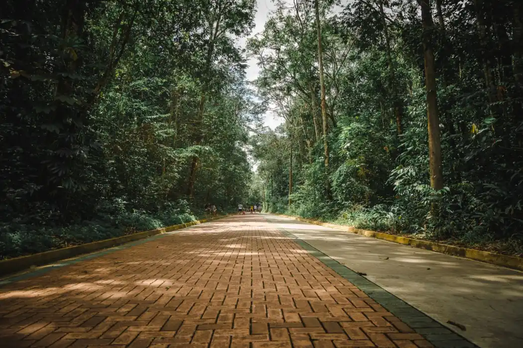 Brick path through greenery