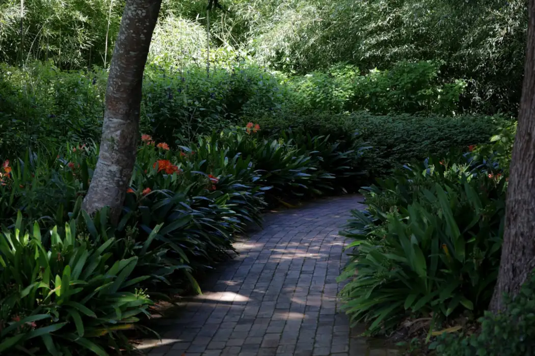 Brick pathway through garden