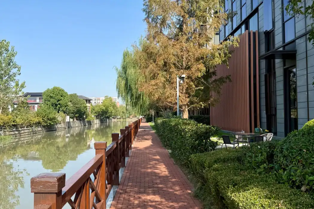 Walkway beside planting