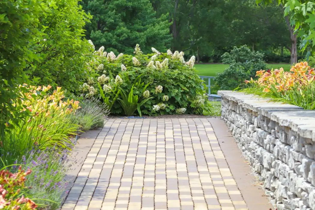 Garden path with flowers