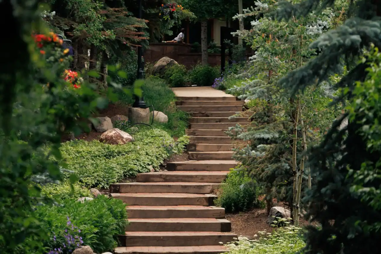 Brick path through garden