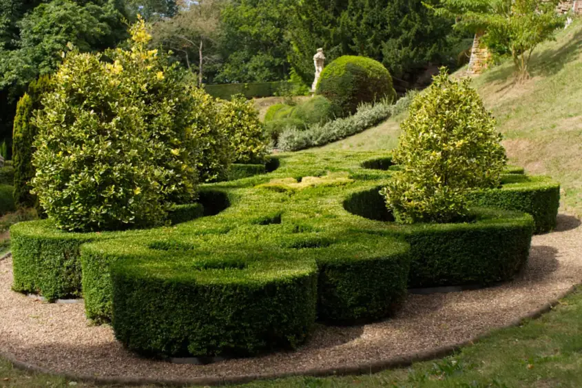 Topiary garden planting