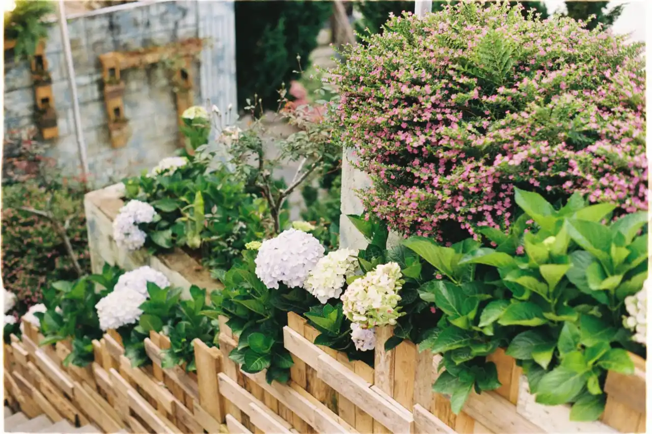 Hydrangea garden bed
