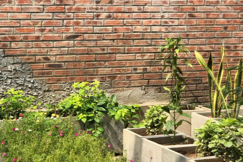 Urban garden planters