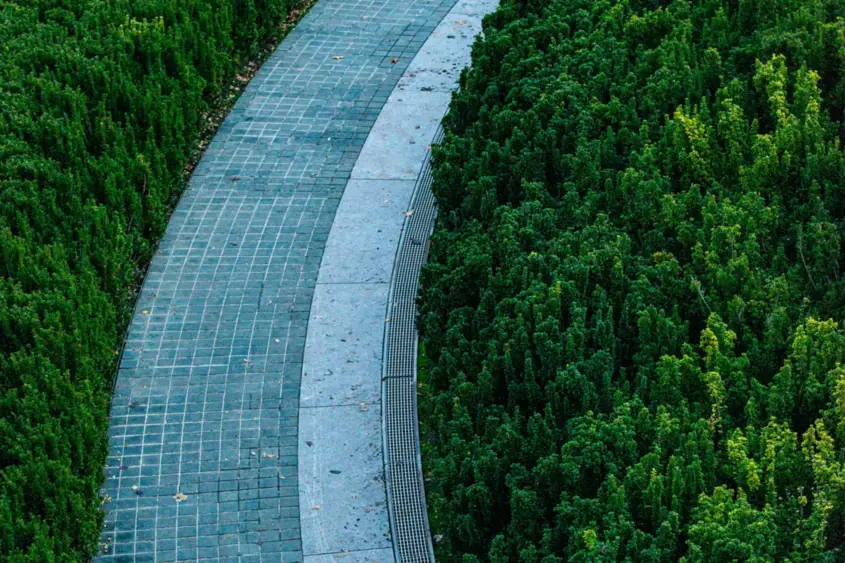 Curved garden pathway