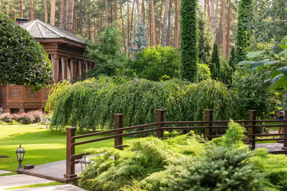 Garden lawn with trees