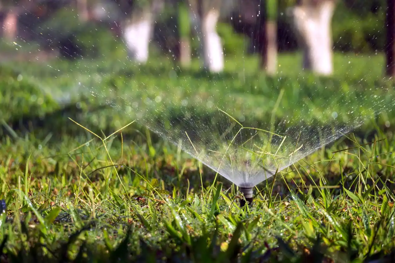 Garden sprinkler on lawn