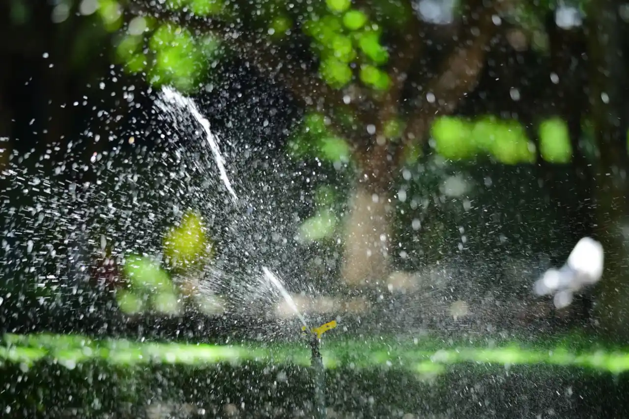 Sprinkler watering a lawn