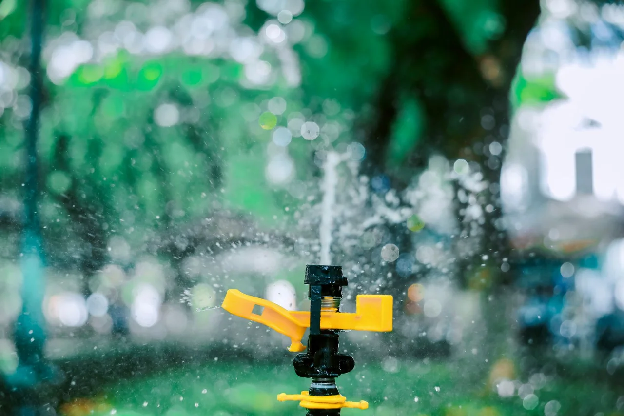 Sprinkler watering grass
