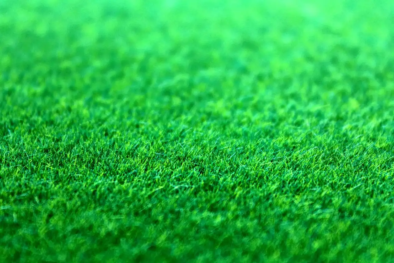 Green lawn surface