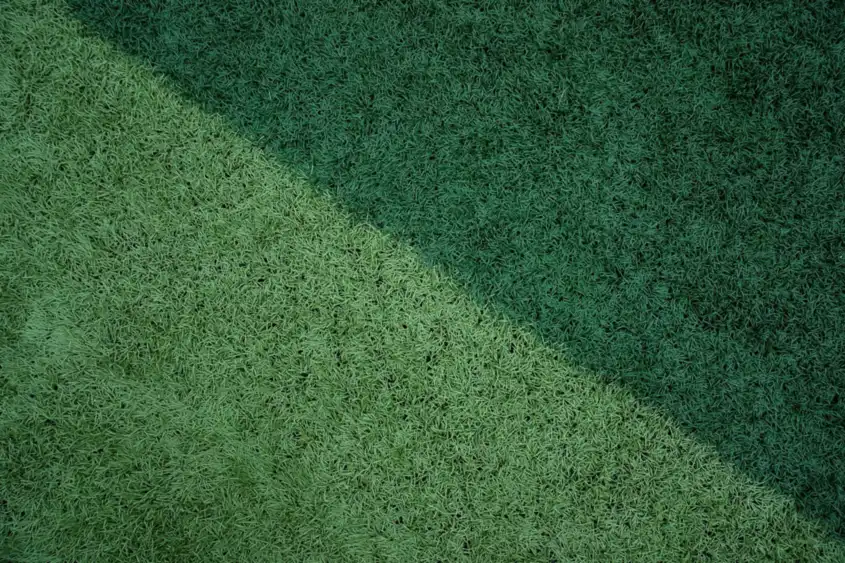 Newly laid grass surface