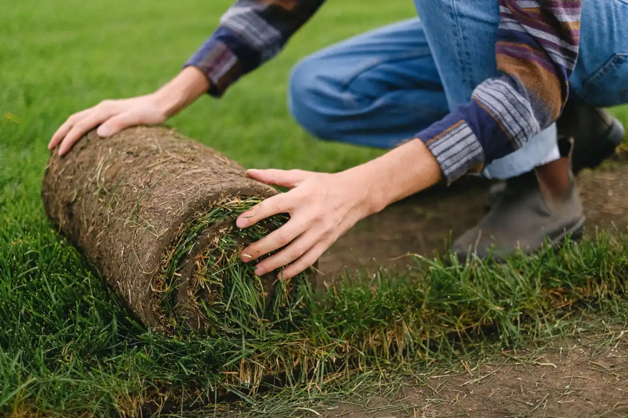 Laying turf for a lawn