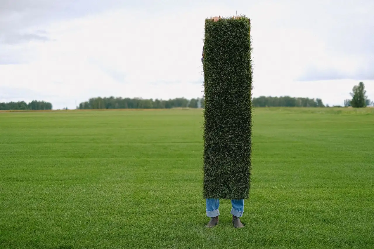Gardener with lawn sod