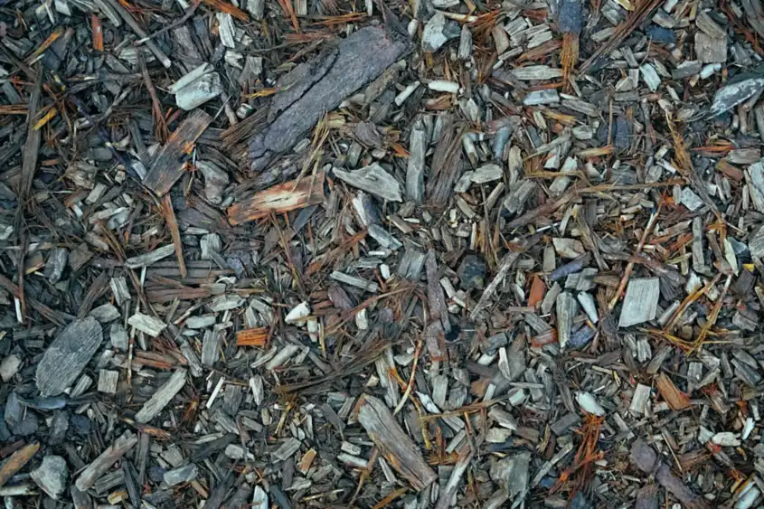 Wood chips on garden ground