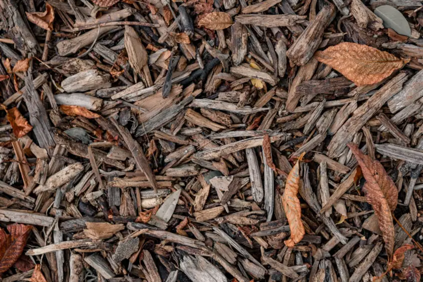 Brown wood mulch and leaves