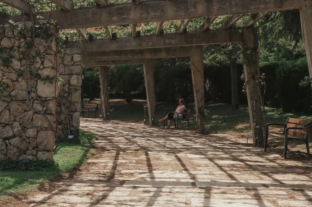Wooden pergola in a garden