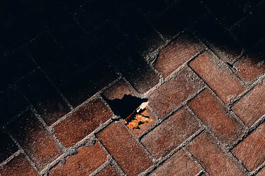 Brick pavers with leaf