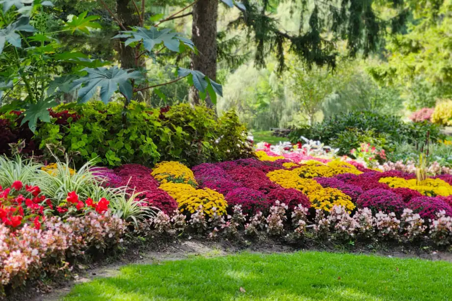 A completed landscaping project with layered foliage and blooming flowers