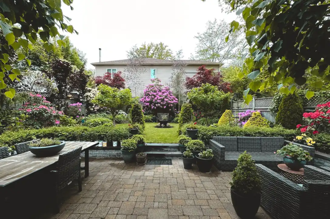 A landscaped backyard with flowering beds and mature green plantings