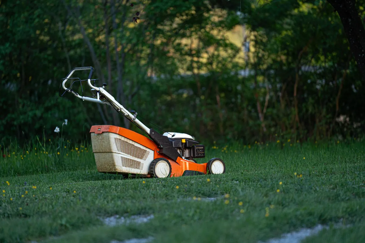 A lawn mower standing on a freshly cut backyard lawn