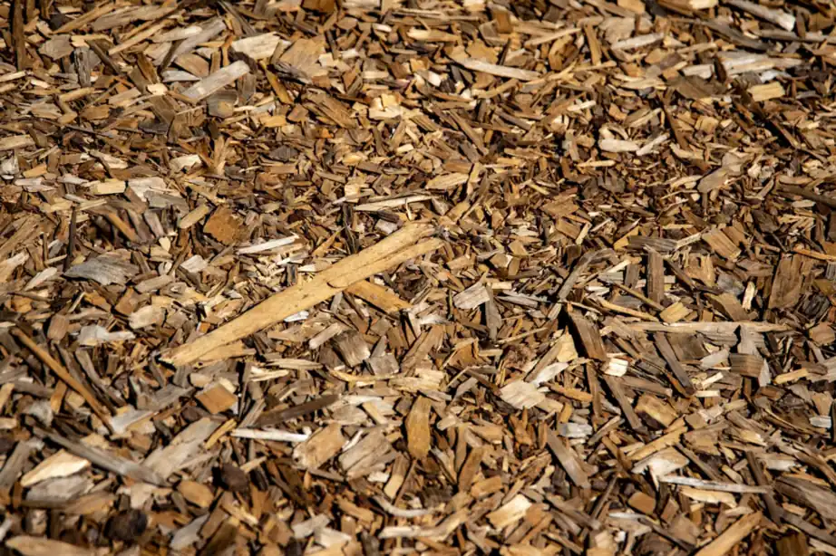 Fresh brown bark mulch spread across a garden bed in sunlight