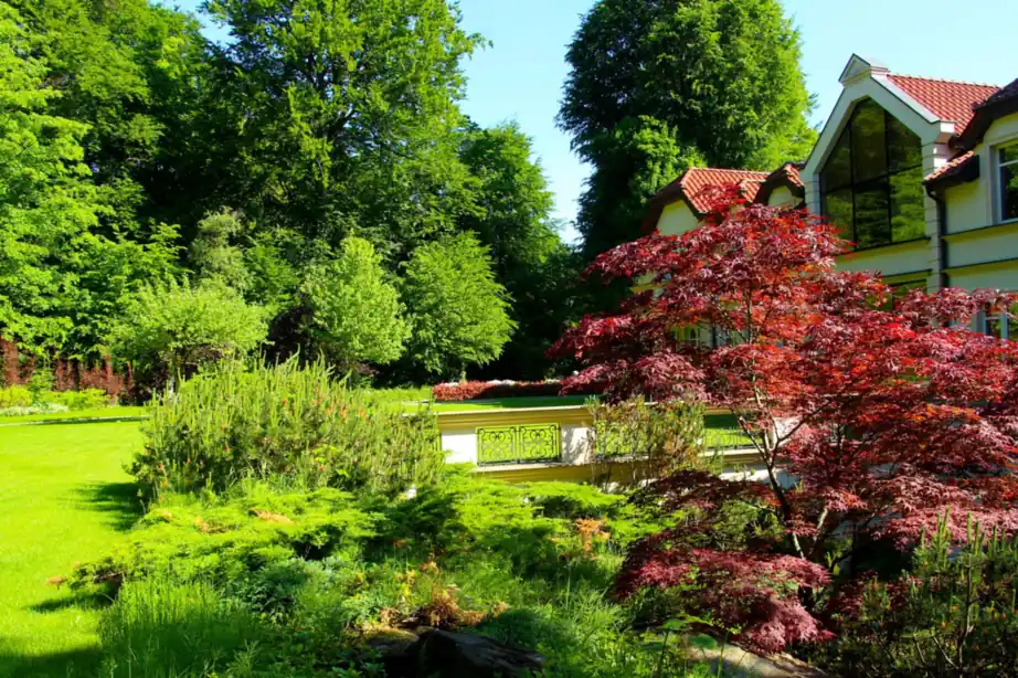 A maintained yard with healthy green planting and defined bed edges